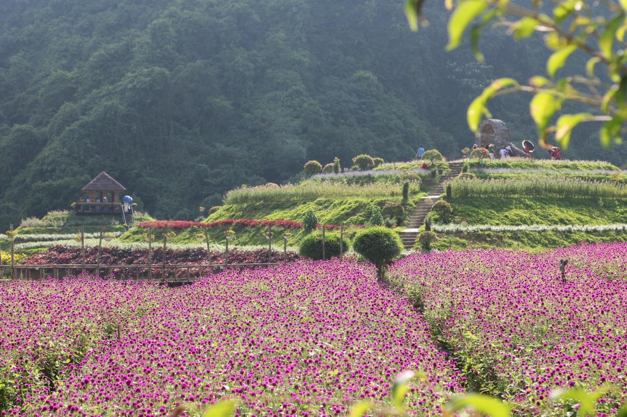 Thung Nham Resort Ninh Binh Dış mekan fotoğraf
