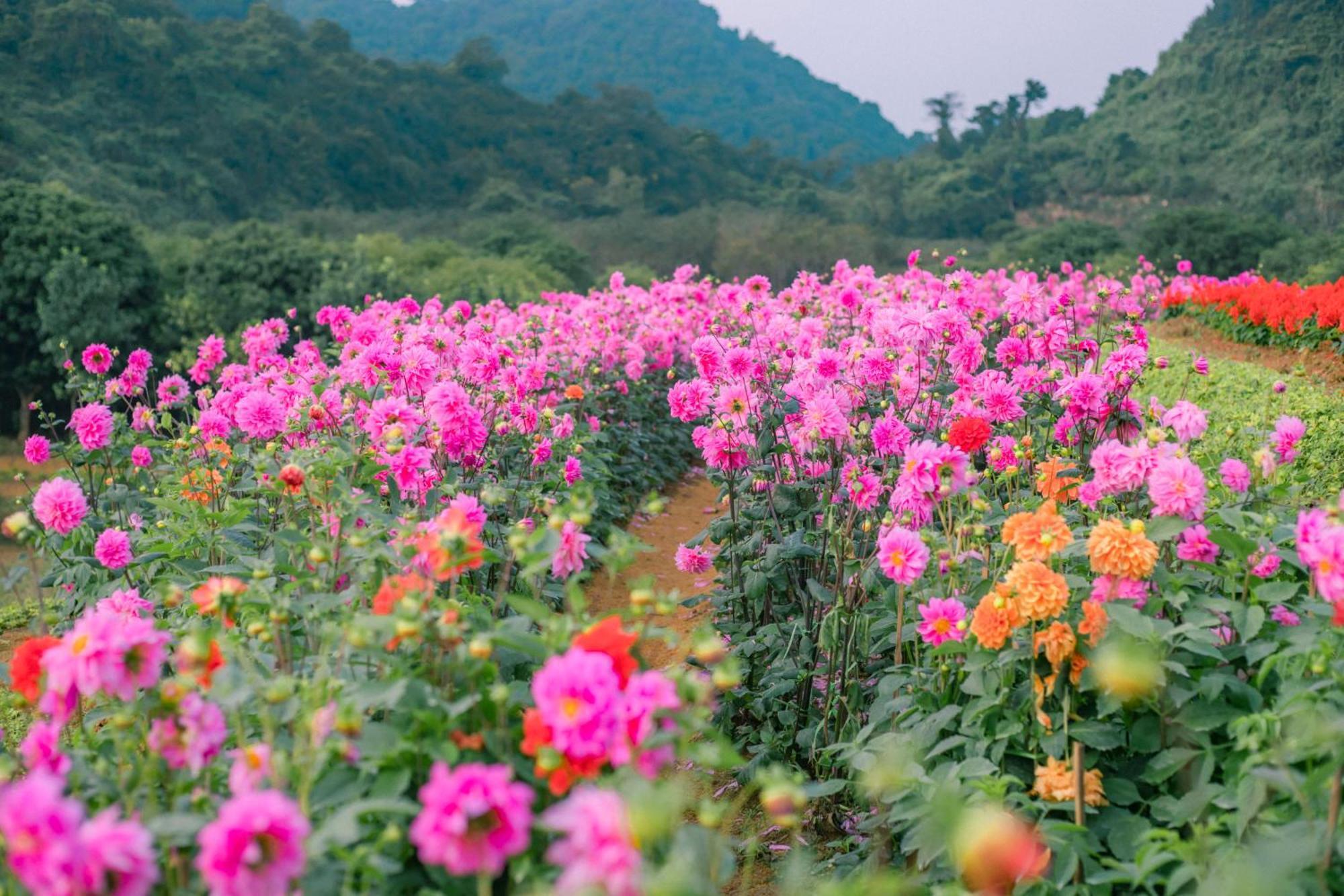 Thung Nham Resort Ninh Binh Dış mekan fotoğraf