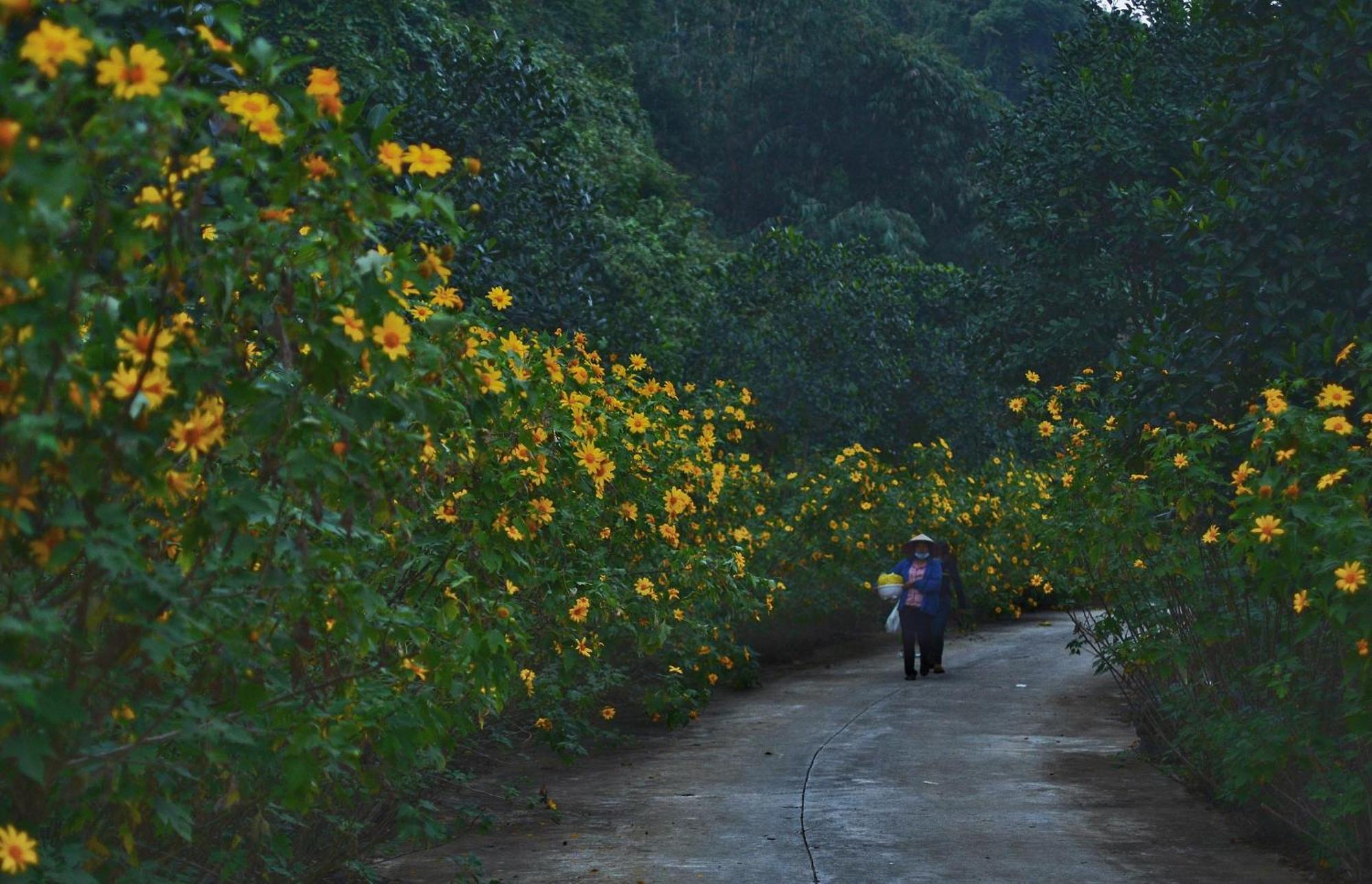 Thung Nham Resort Ninh Binh Dış mekan fotoğraf