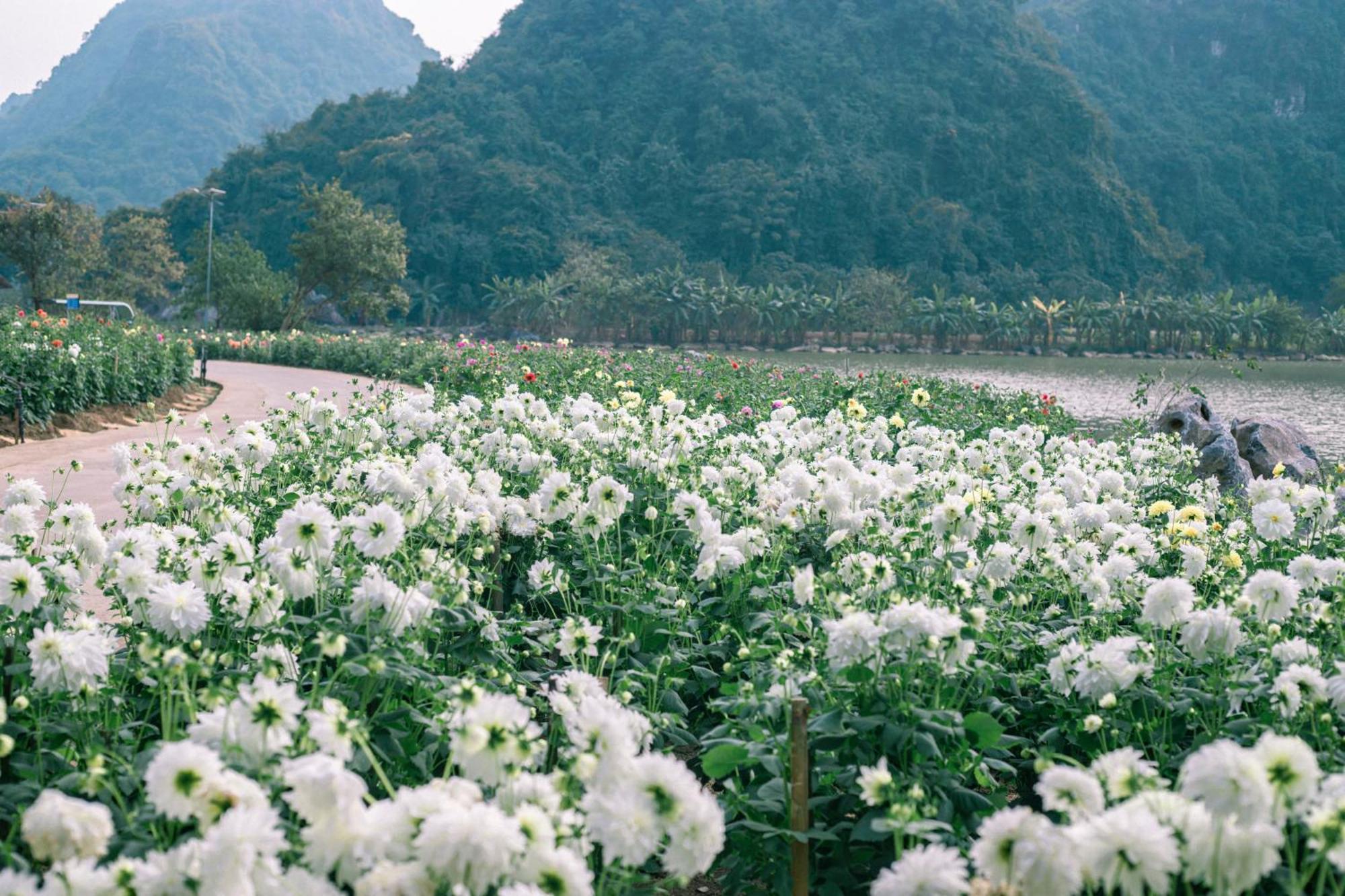 Thung Nham Resort Ninh Binh Dış mekan fotoğraf