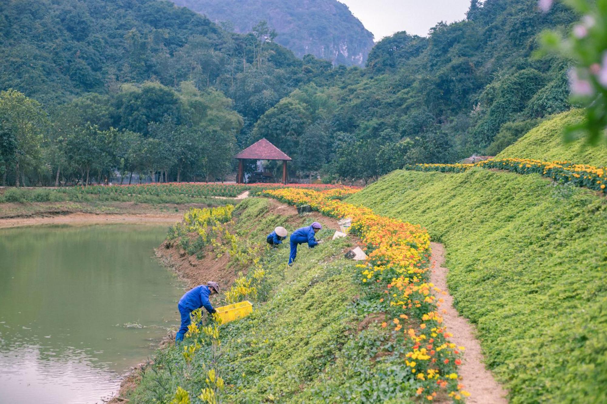 Thung Nham Resort Ninh Binh Dış mekan fotoğraf